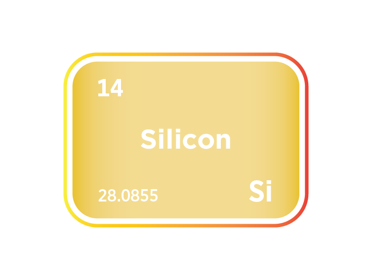 The Silicon Market